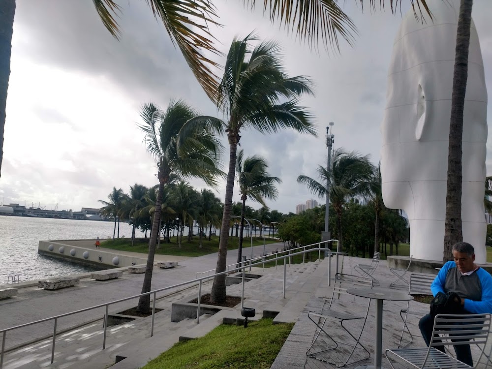 Perez Art Museum Miami photo 3