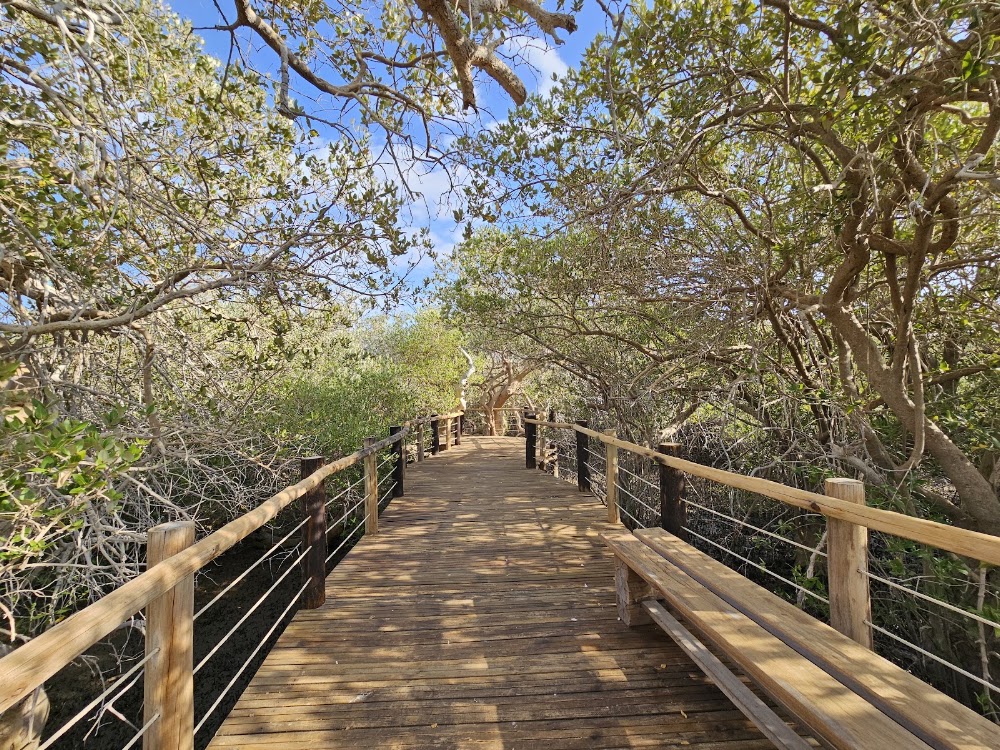 Khor Kalba Mangrove Nature Park | منتزه خور كلباء لأشجار القرم