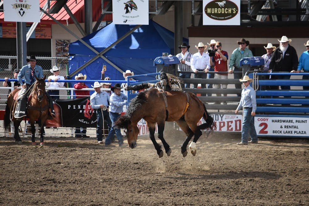 Cody Rodeo