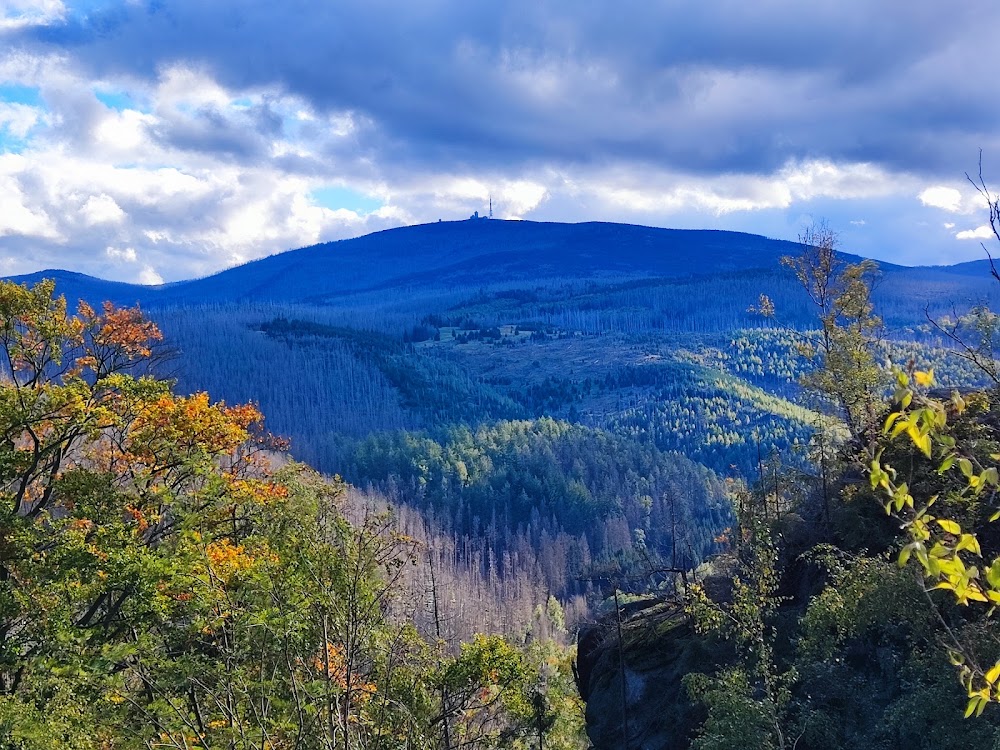 Harz National Park