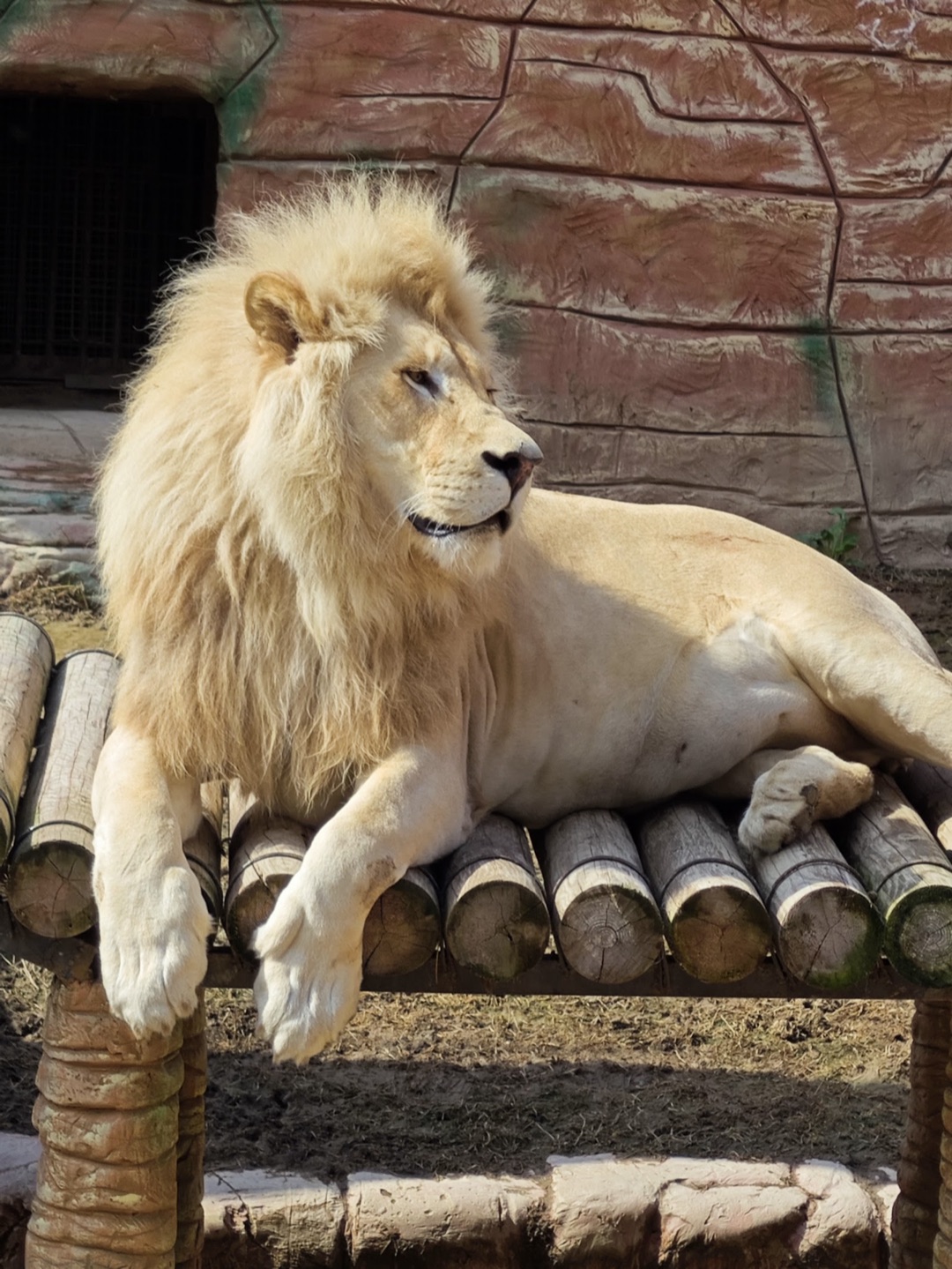 Tashkent Zoo photo 3