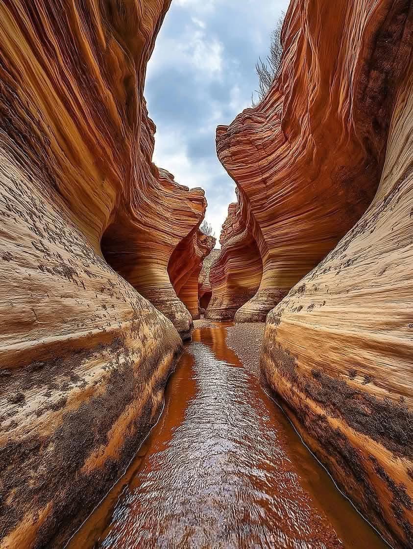 Willis Creek Slot Canyon trailhead