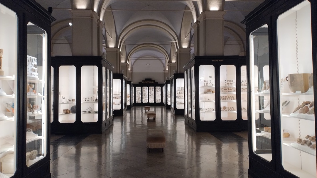 Musei Civici di Modena photo 3