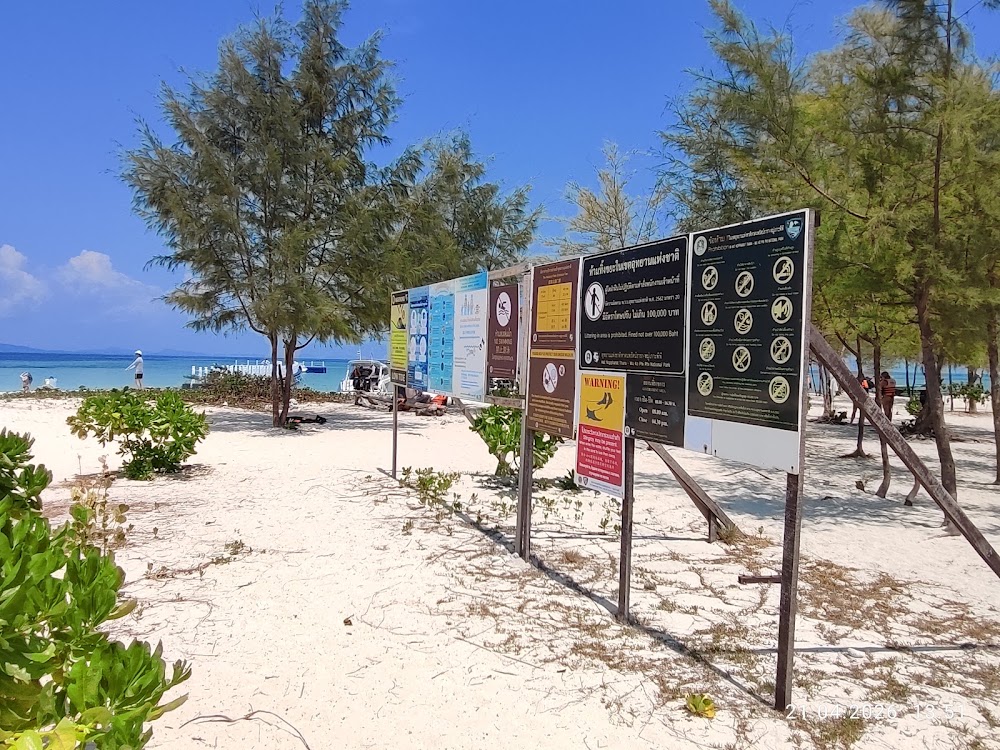 Bamboo Island