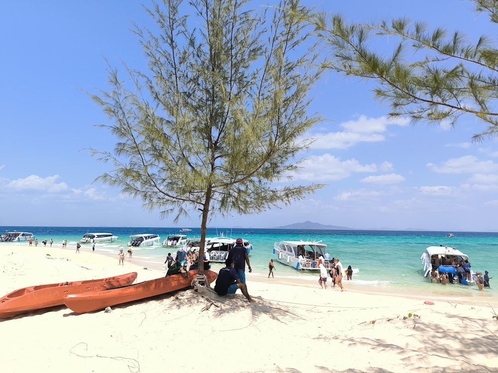 Bamboo Island photo 3