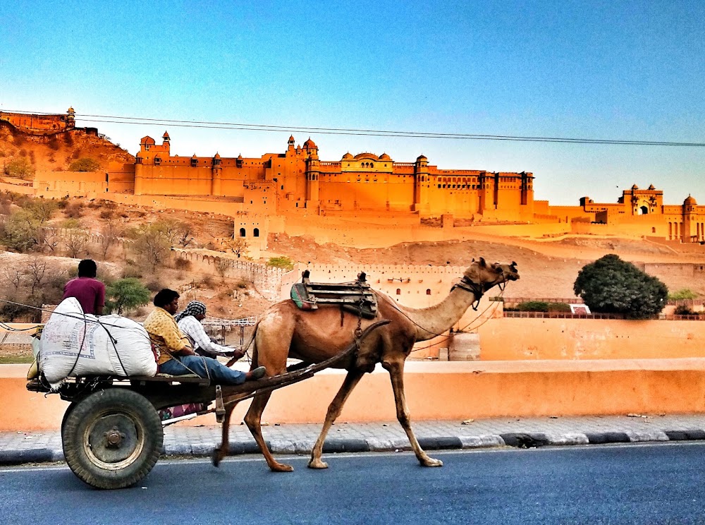 Amer Road photo 3
