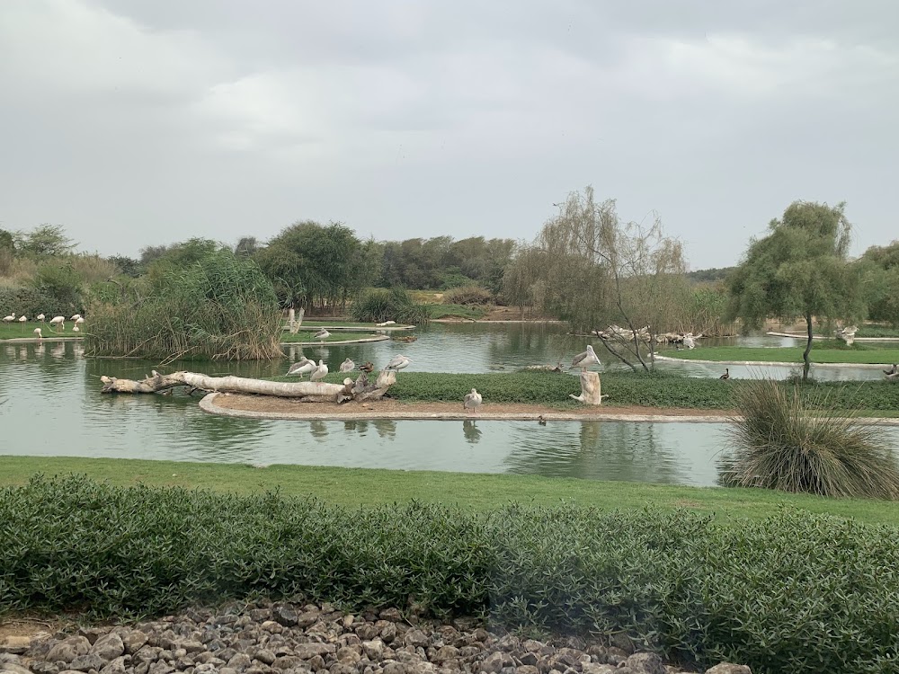 Wasit Wetland Nature Park | منتزه واسط للأراضي الرطبة