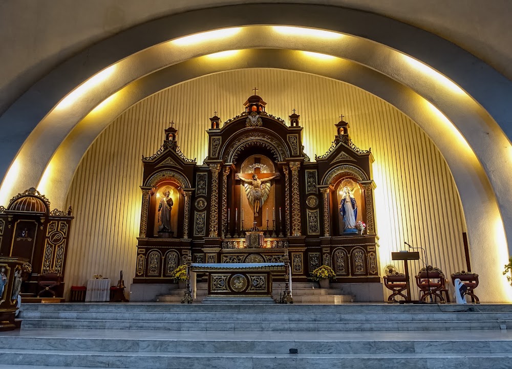 San Pedro Cathedral photo 3