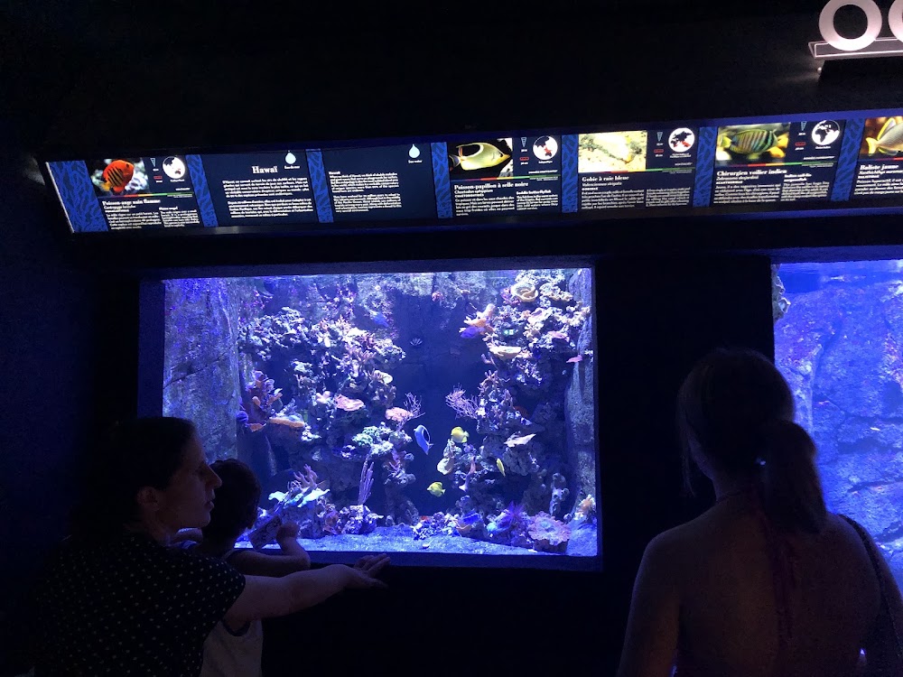Aquarium Tropical photo 2