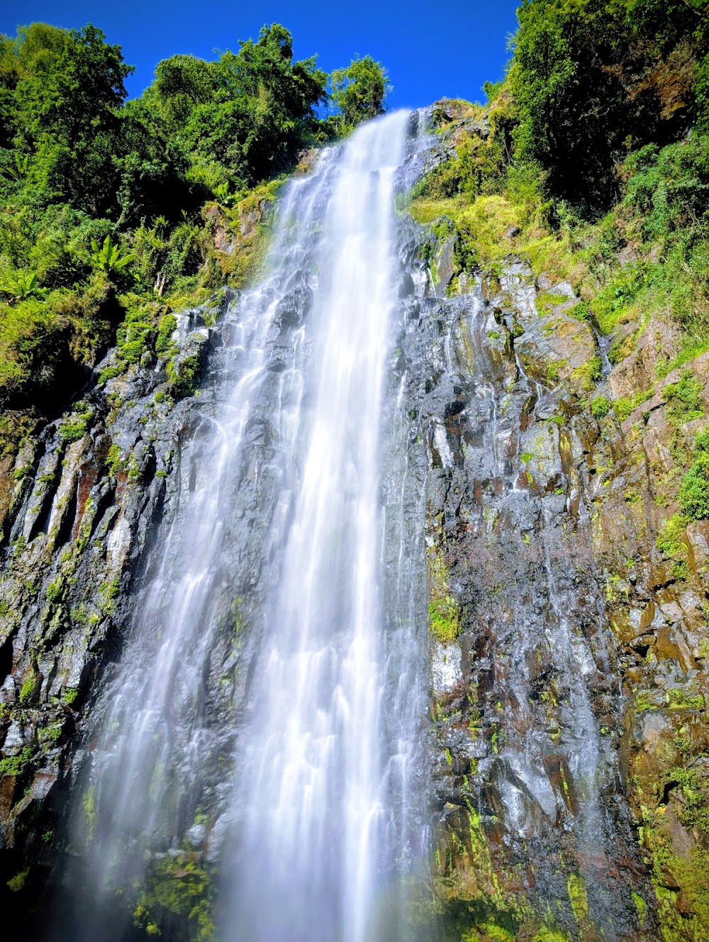 Kilimanjaro National Park photo 3