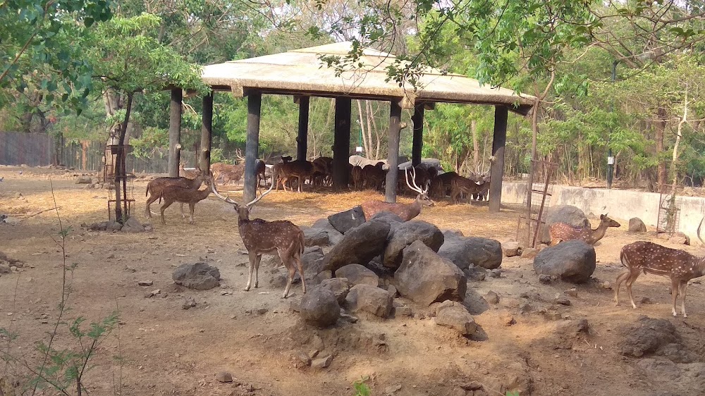 Katraj Snake Park photo 3