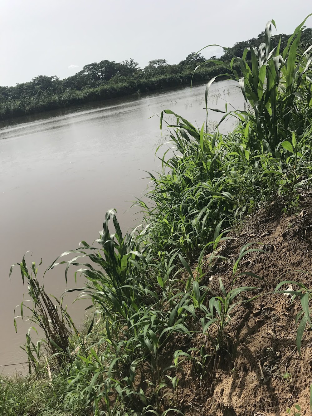 Wouri River photo 3
