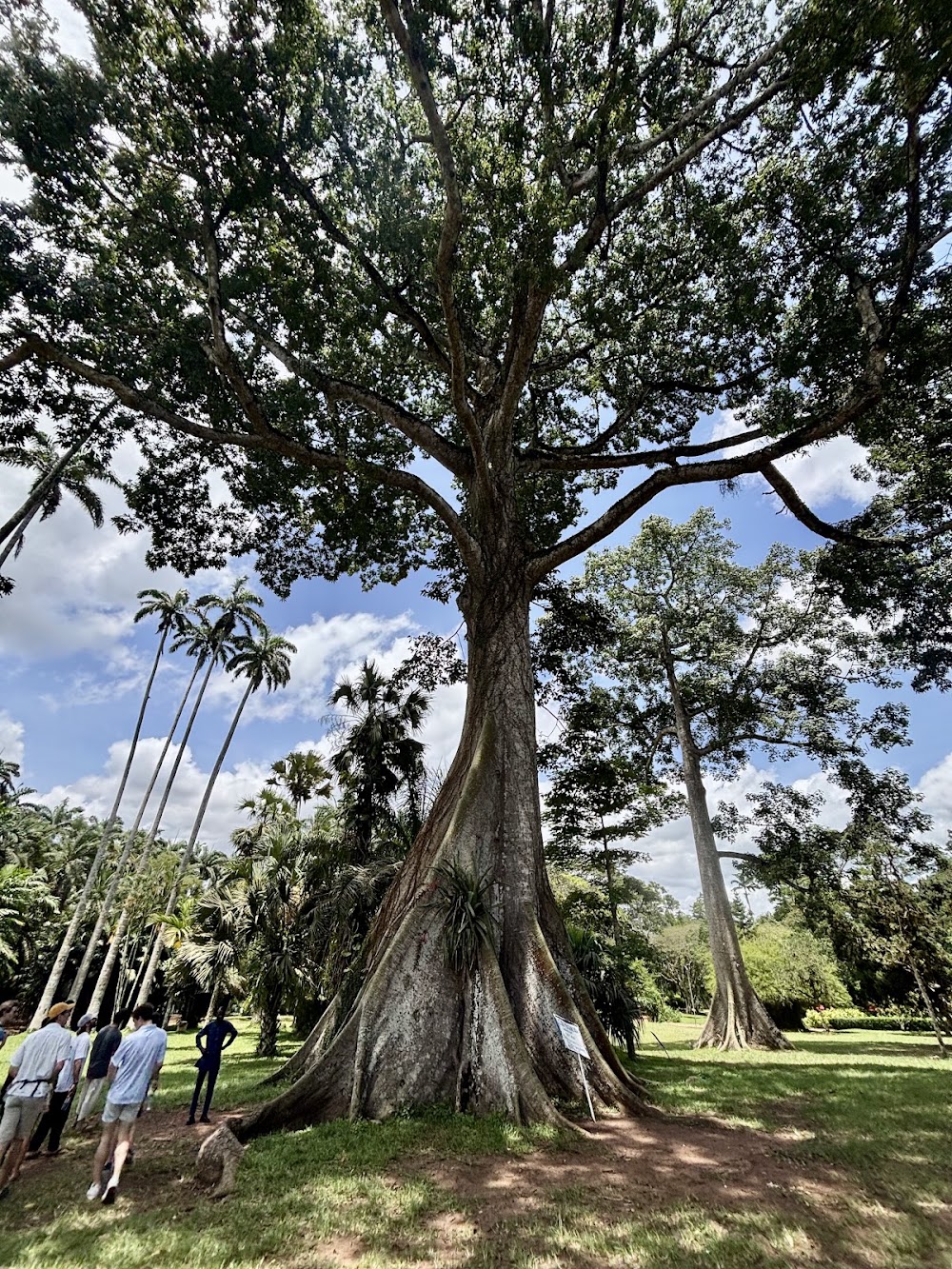 Aburi Botanical Gardens photo 3