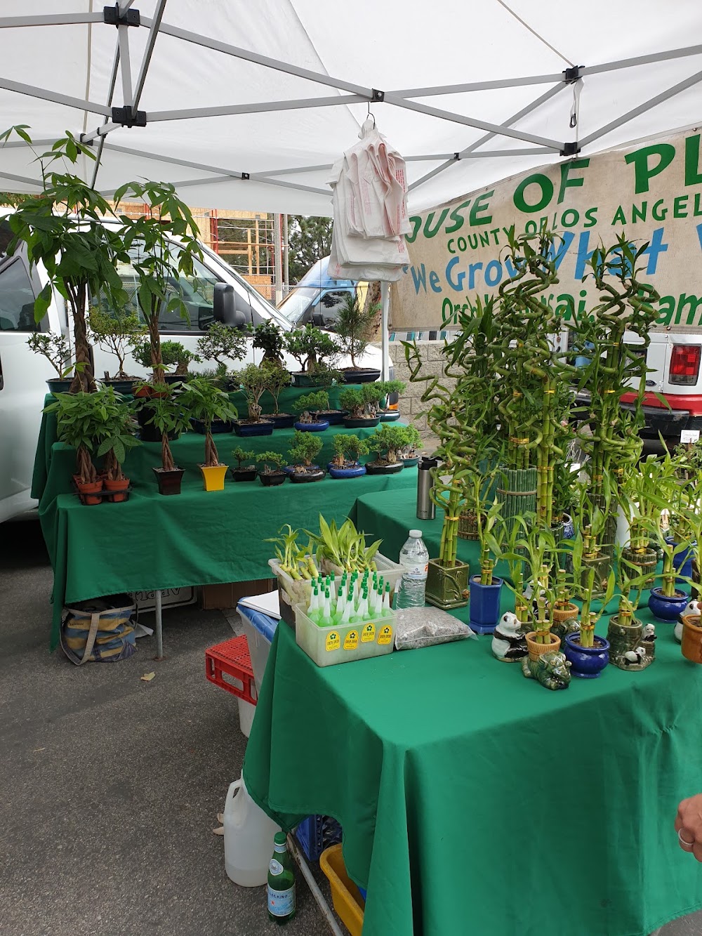 Venice Farmers Market photo 3
