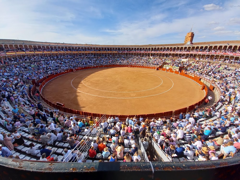 Salamanca Bullring photo 2