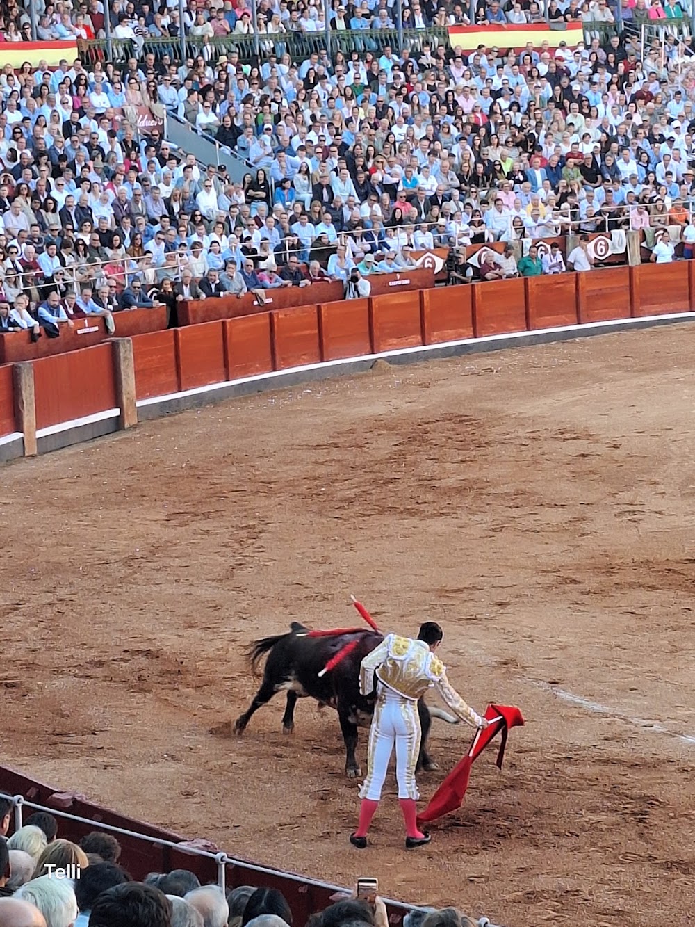 Salamanca Bullring photo 3