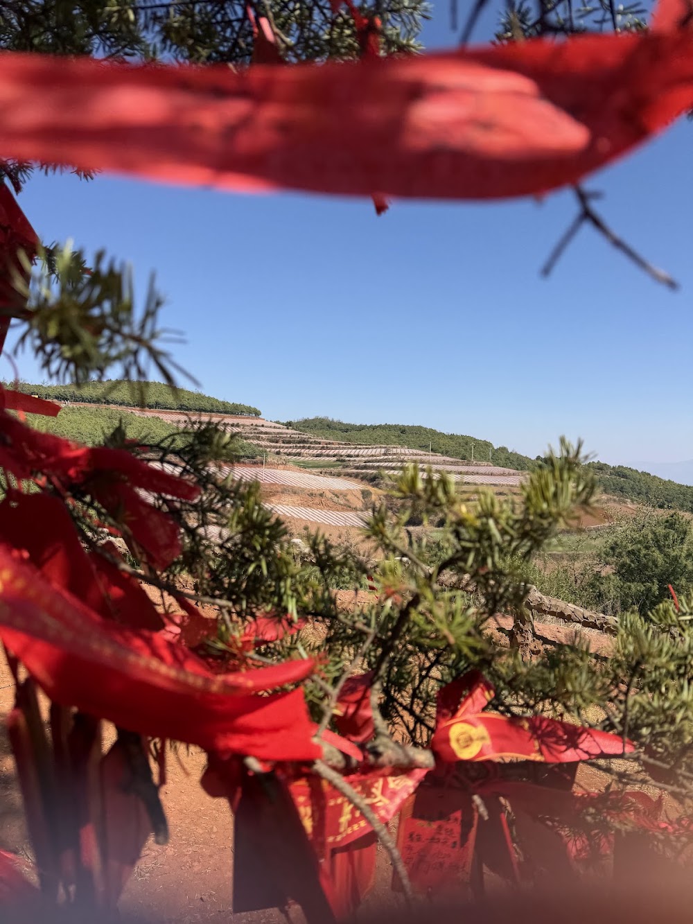 Dongchuan Red Land photo 2