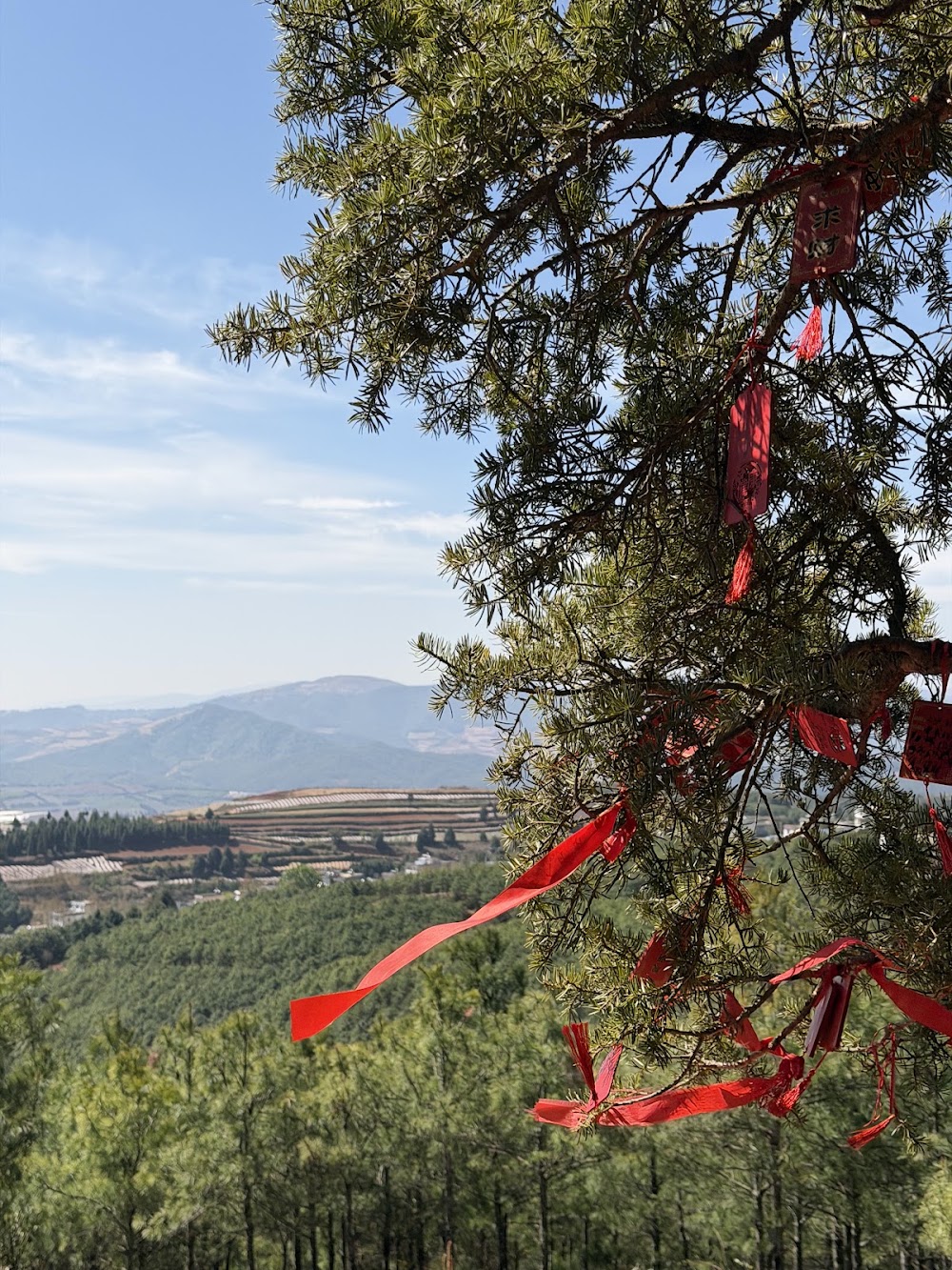 Dongchuan Red Land photo 3