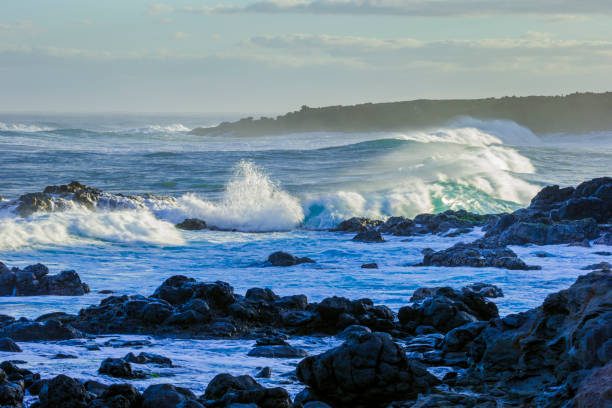 Bondi Beach photo 3