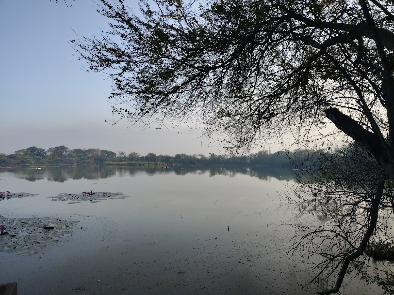 Gavier Lake