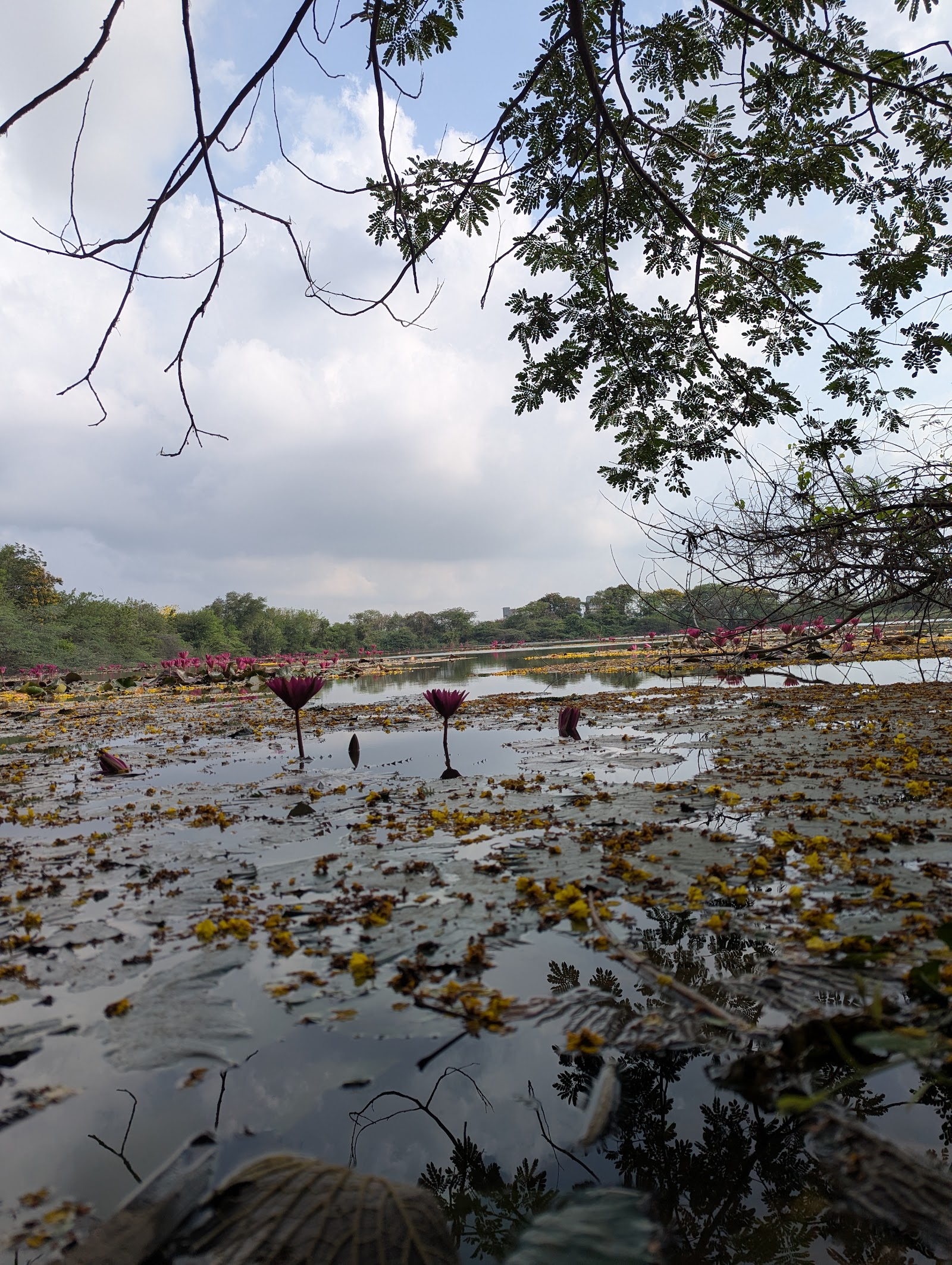 Gavier Lake photo 3