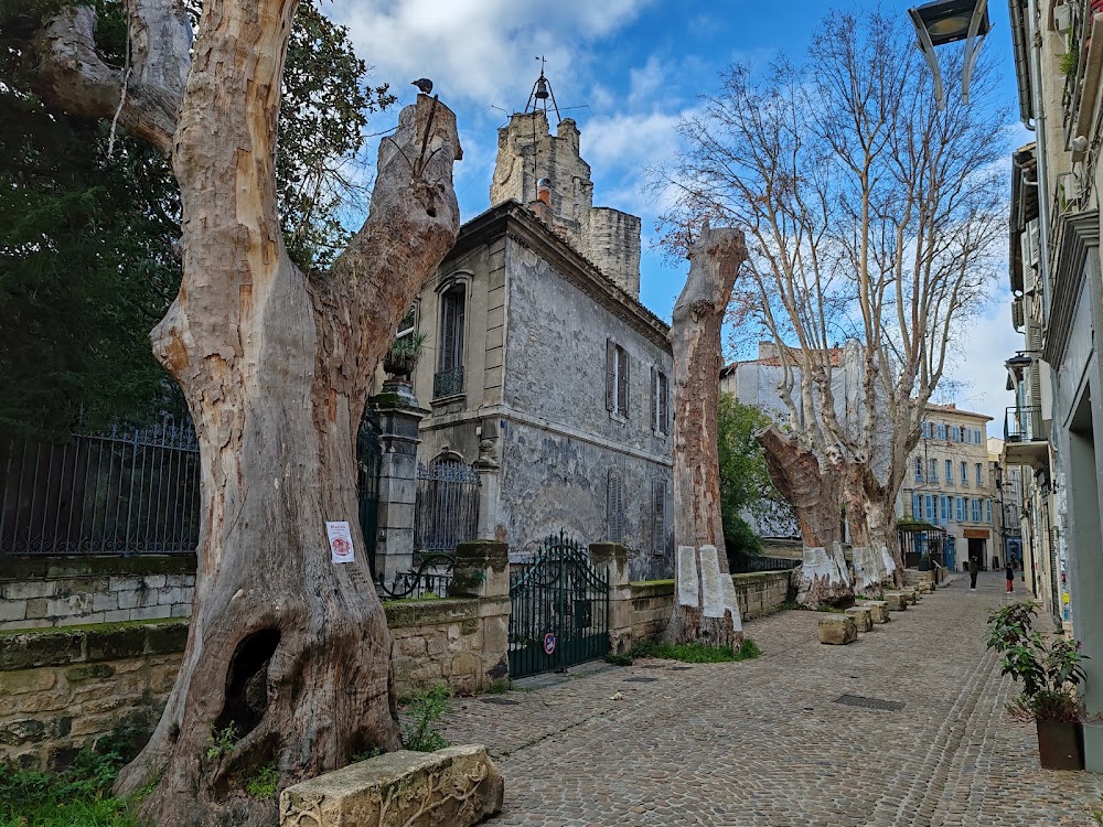 Rue des Teinturiers photo 3