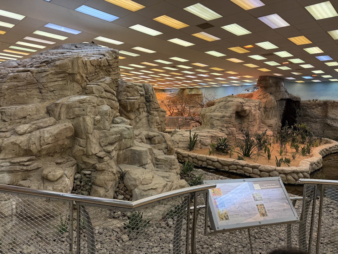 Sharjah Desert Park