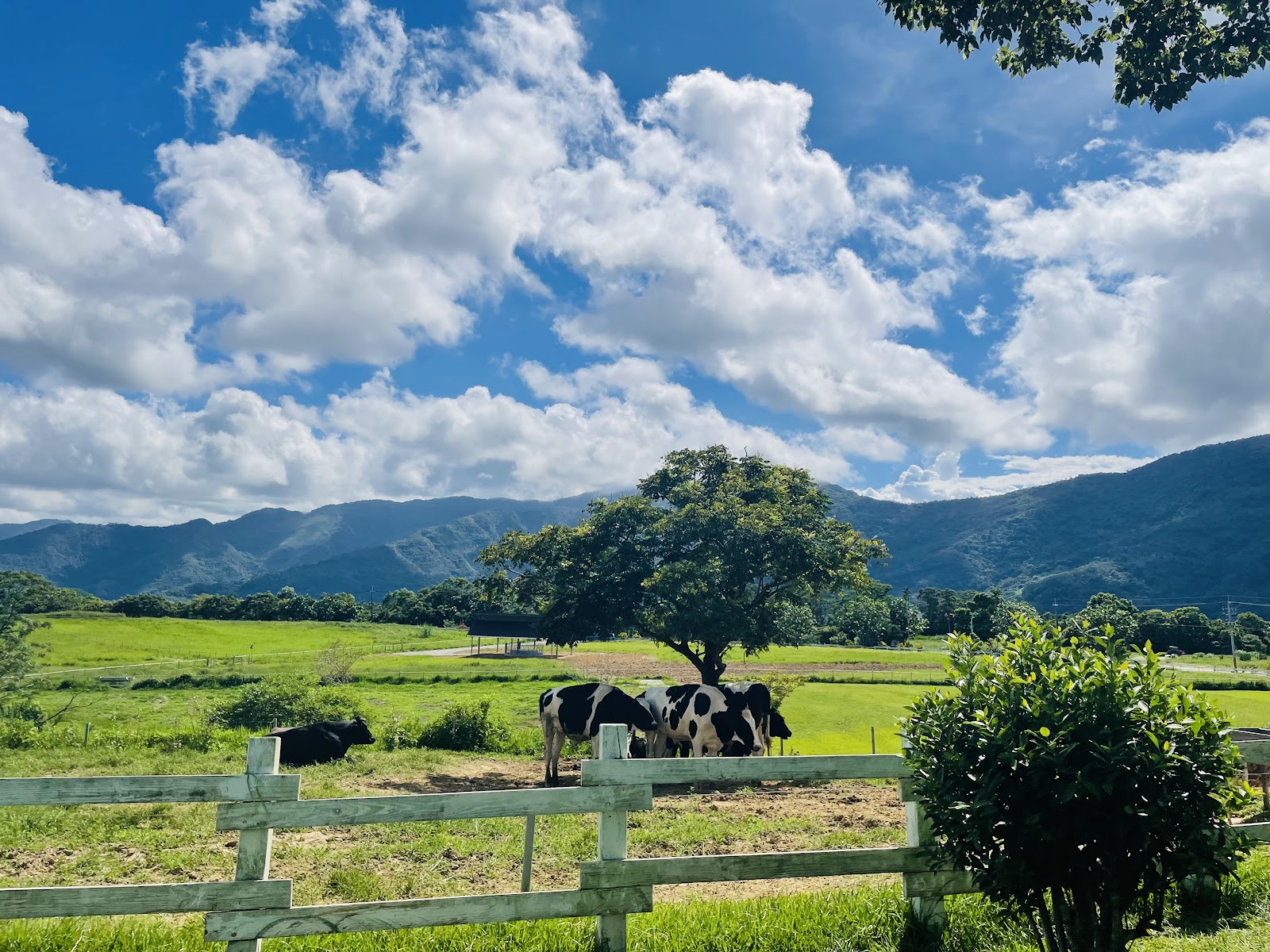 Chu Lu Ranch