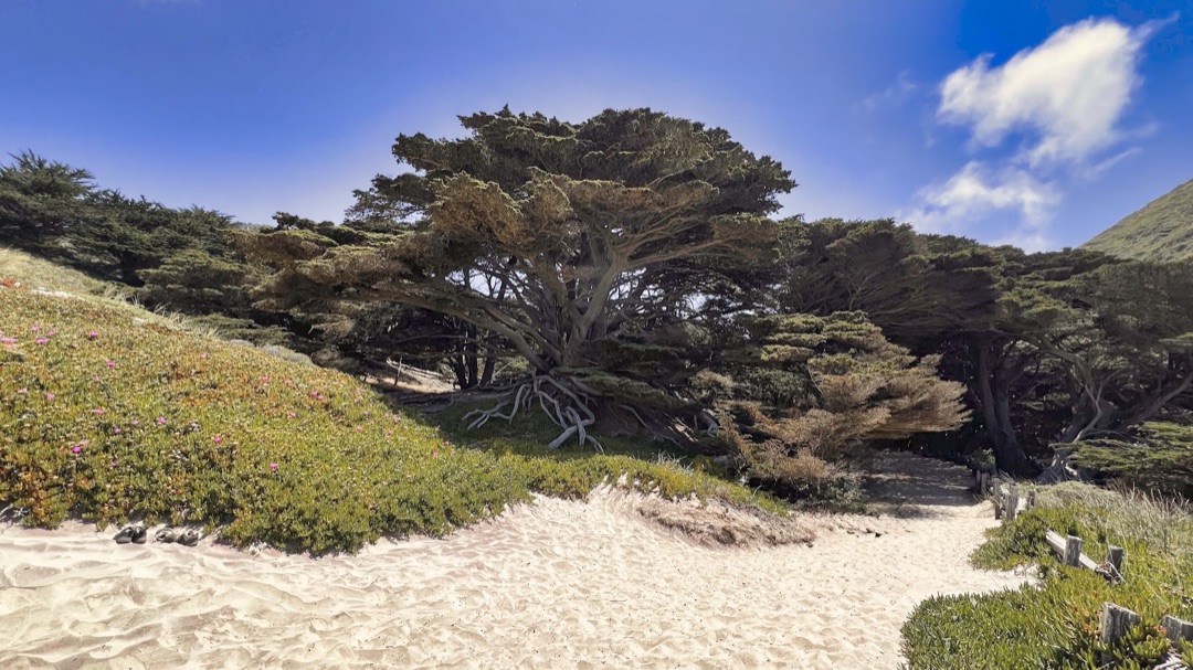 Pfeiffer Beach photo 3
