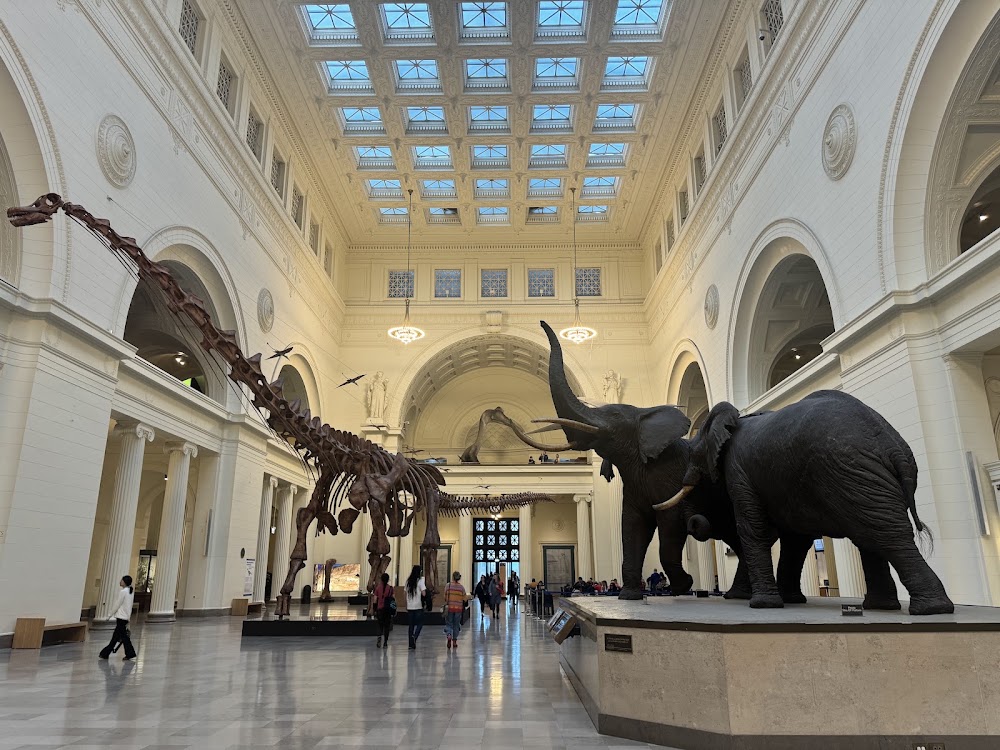 The Field Museum photo 2