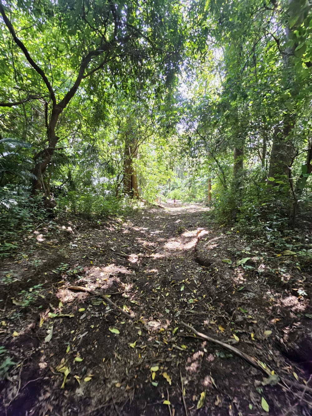 Rau Forest Reserve photo 2