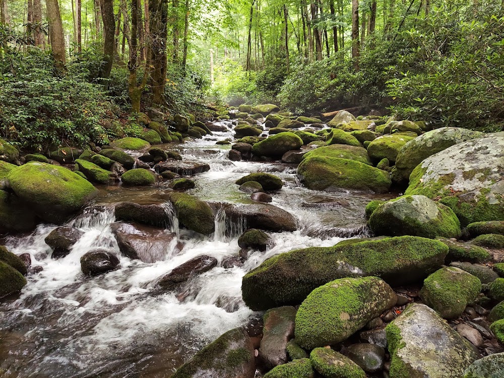 Great Smoky Mountains National Park photo 2
