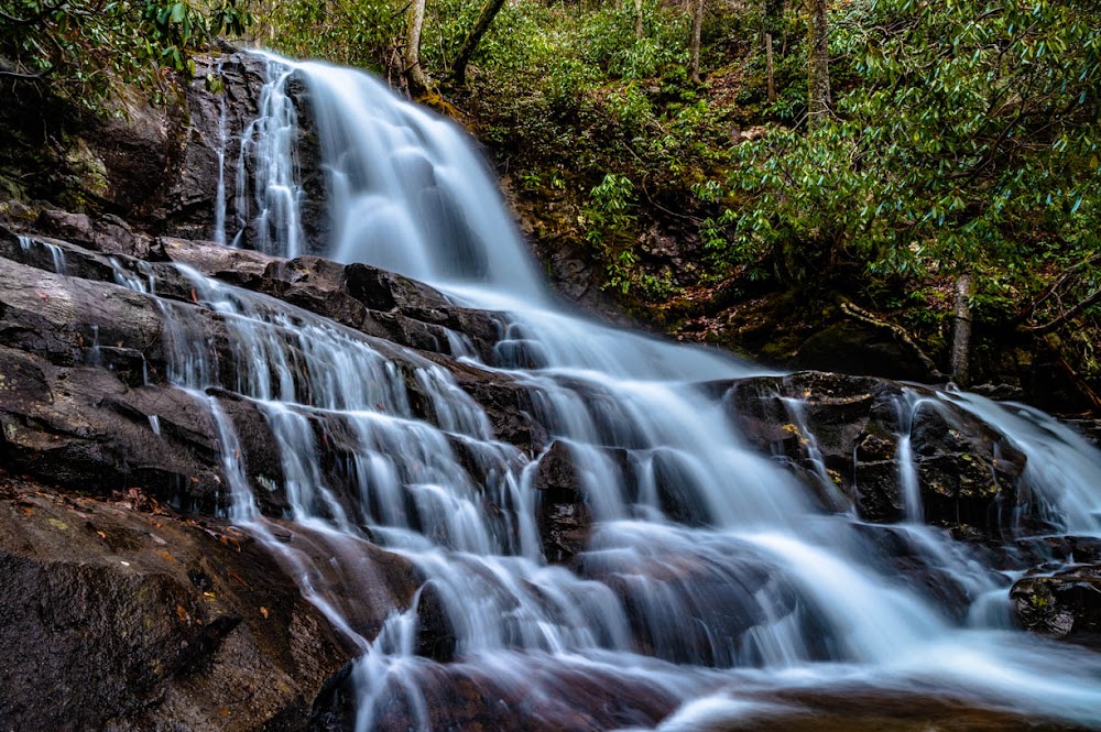 Great Smoky Mountains National Park photo 3