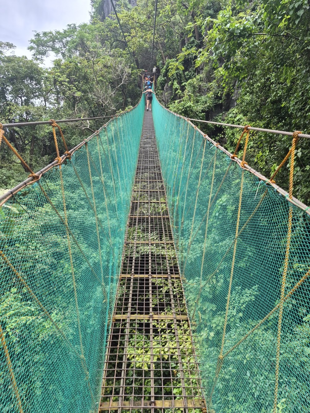 El Nido Via Ferrata Canopy Walk