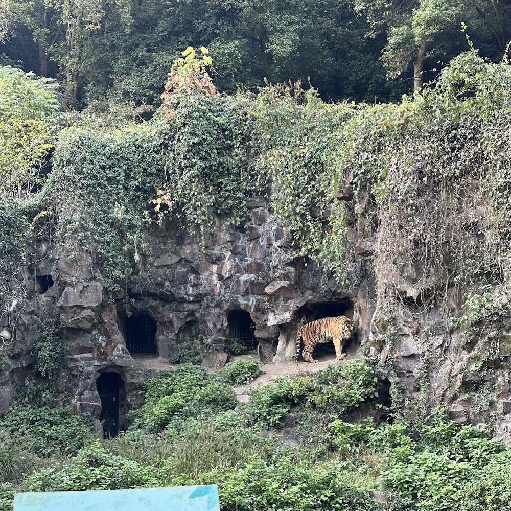 Hangzhou Zoo photo 3