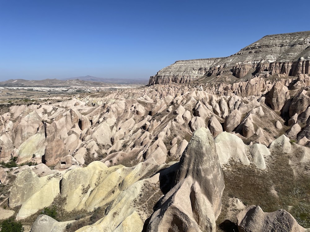 Rose Valley