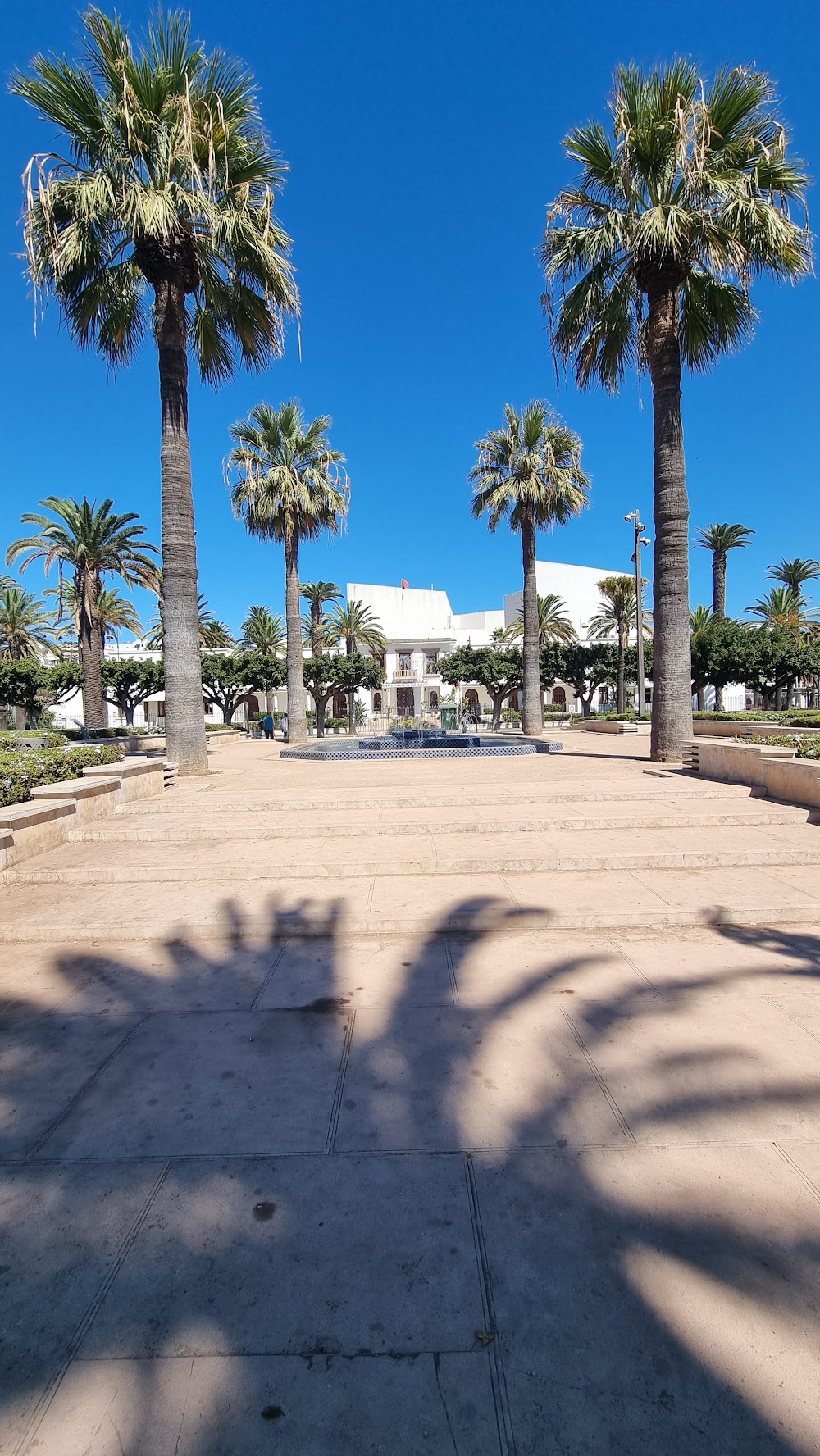 Parc de la Ligue Arabe photo 2
