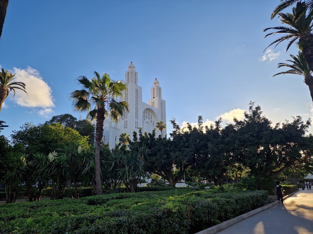 Parc de la Ligue Arabe photo 3