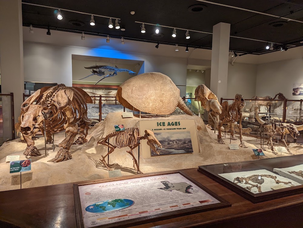 Texas Memorial Museum photo 3