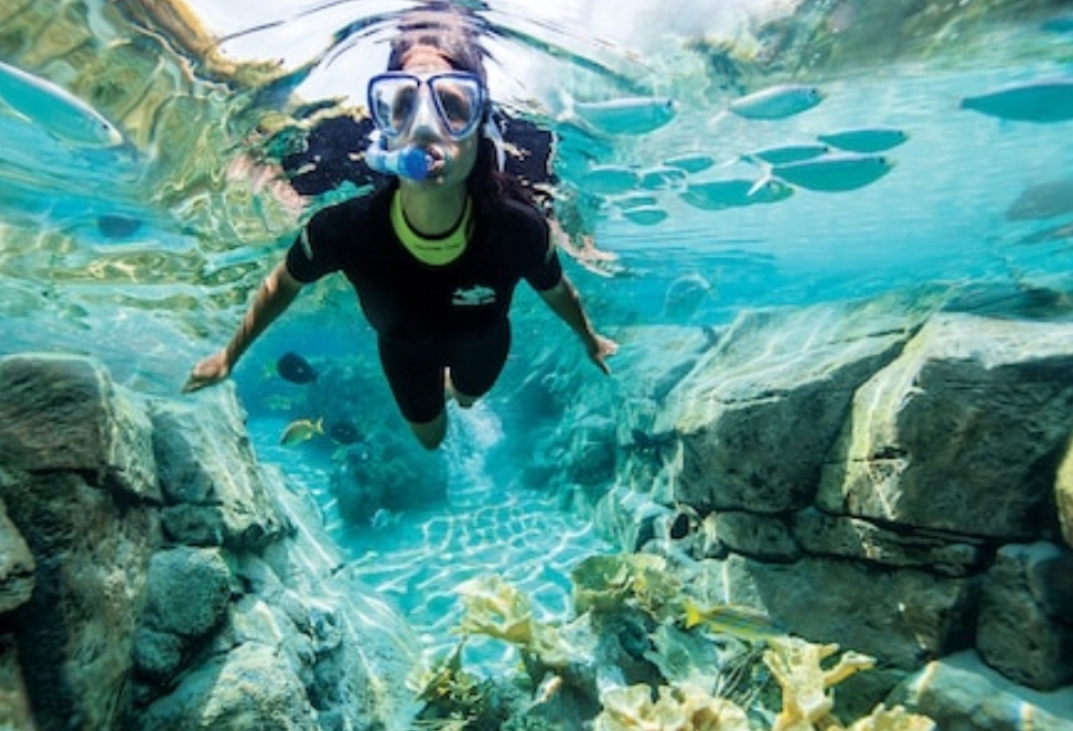 Discovery Cove photo 2