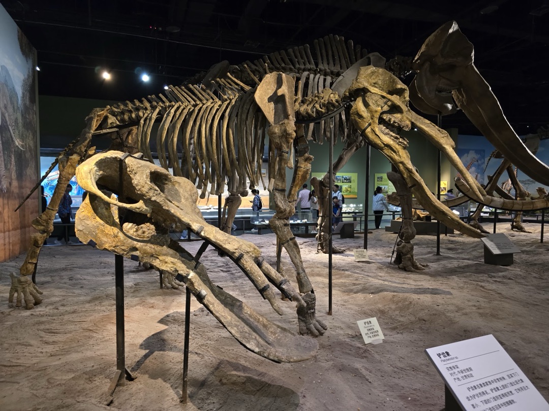 Tianjin Natural History Museum