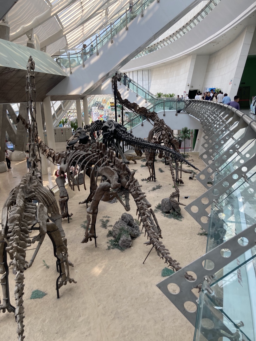 Tianjin Natural History Museum photo 2