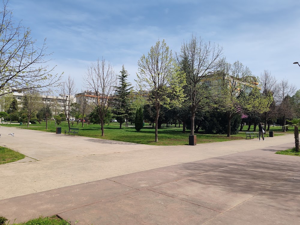 University of Montenegro photo 3
