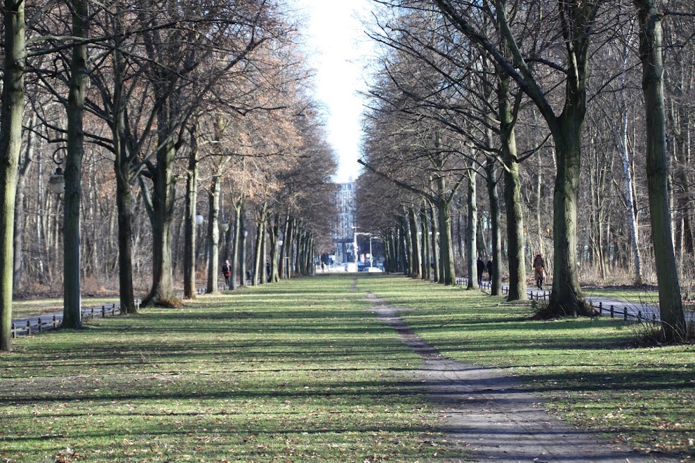 Tiergarten Park photo 2