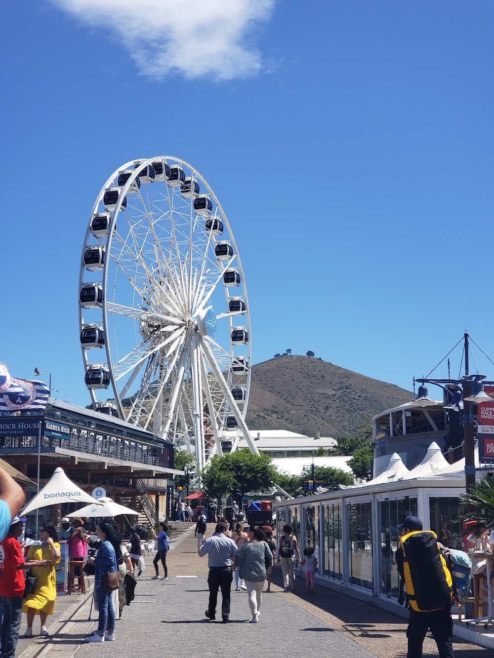 Cape Wheel photo 2