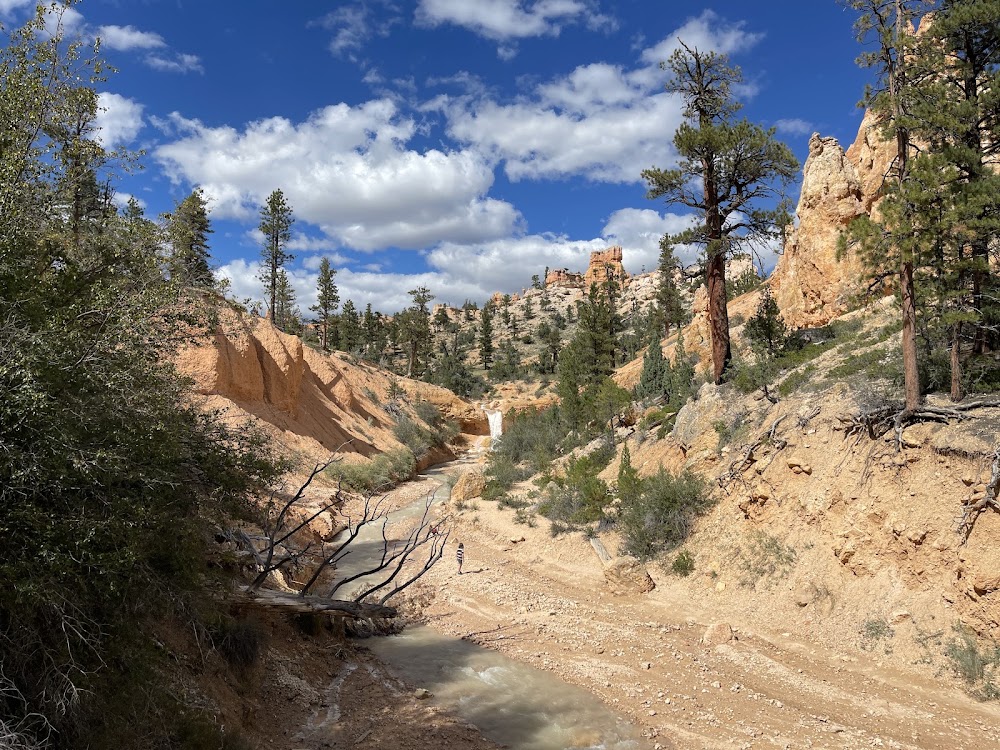 Mossy Cave Trail photo 3