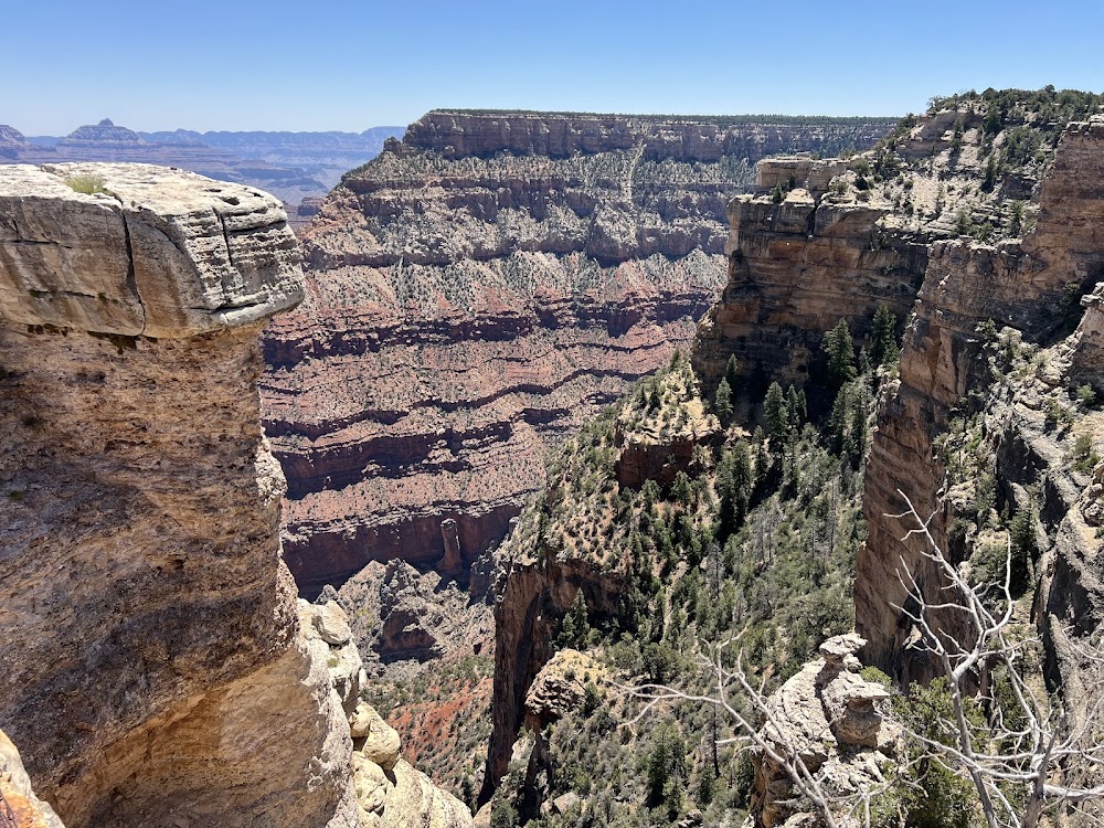 Grand Canyon Village Visitor Center photo 2