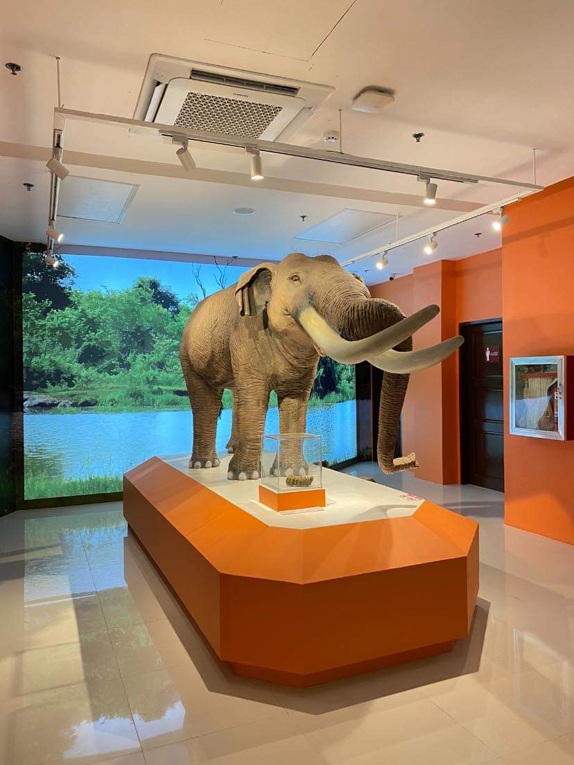 National Museum of the Philippines - Davao