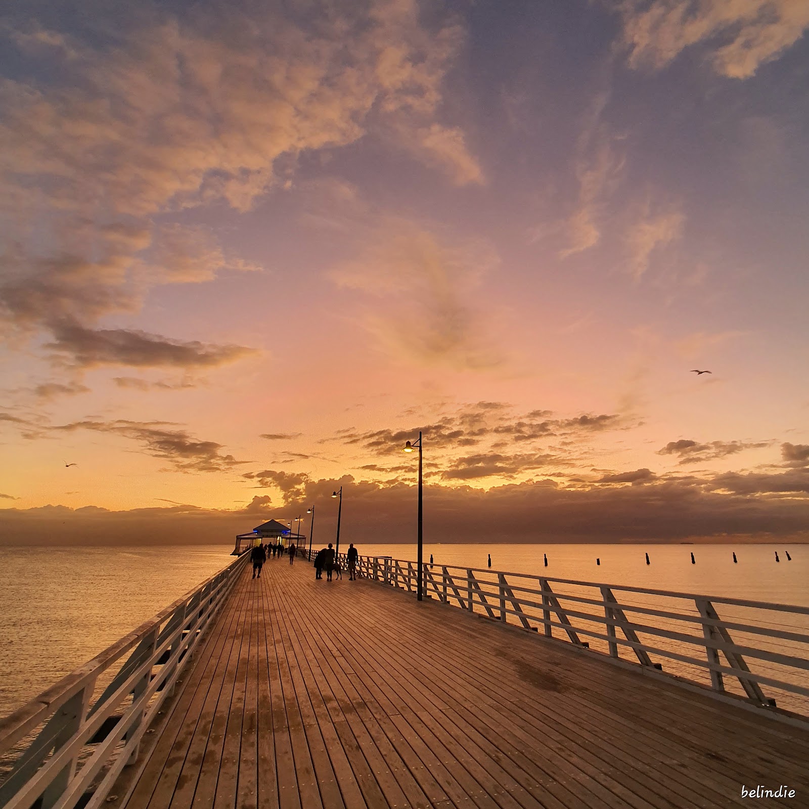 Shorncliffe Pier