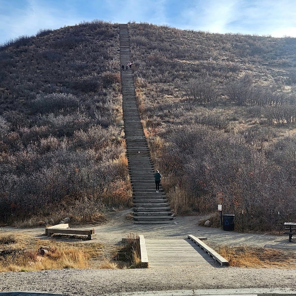Philip S. Miller Park photo 3